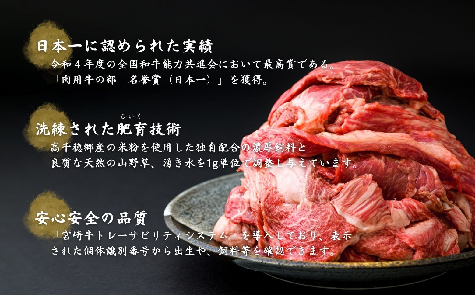 宮崎県産黒毛和牛A4等級以上 高千穂牛すじ 500g×2パック 計1kg 牛肉 肉 お肉 精肉 ブランド牛 国産牛 黒毛和牛 国産 国産牛肉 料理 煮込み料理 カレー おでん 牛すじ煮込み 牛すじカレー 普段使い グルメ お取り寄せ 小分け ギフト プレゼント 宮崎県 高千穂町 _Tk002-066