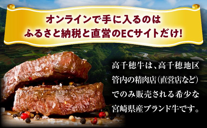 宮崎県産黒毛和牛A4等級以上 高千穂牛サーロインステーキ 250g×2枚 計500g 牛肉 肉 お肉 サーロイン ステーキ ステーキ肉 ブランド牛 和牛 国産牛 国産黒毛和牛 贈り物 贈答 ギフト プレゼント お祝い 内祝い グルメ 記念日 _Tk002-063