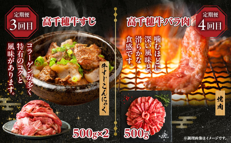 【6か月定期便】高千穂牛煮込み料理6か月定期便 高千穂牛 牛肉 肉 お肉 定期便 定期 国産牛 ブランド牛 和牛 すね肉 ロース 肩ロース 牛すじ バラ 牛バラ ハンバーグ スライス 煮込み カレー ビーフシチュー 国産 贈答 贈り物 普段使い 宮崎県 高千穂 _Tk002-t087