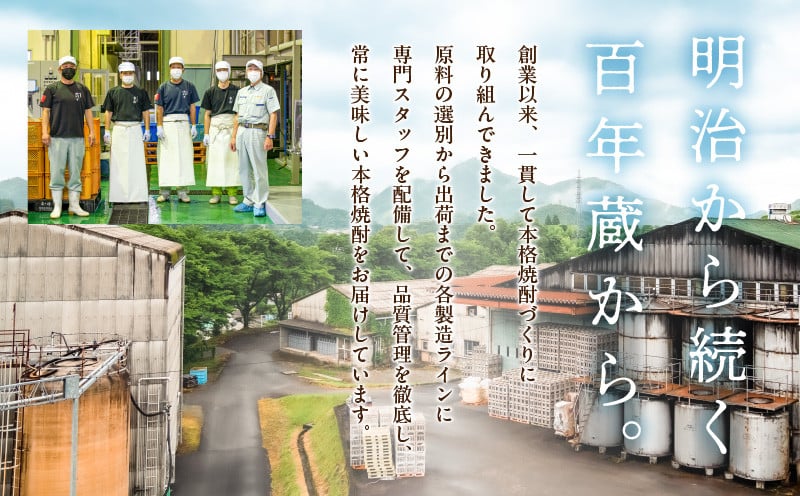  本格そば焼酎 刈干（かりぼし）900ml／2本セット お酒 酒 焼酎 そば焼酎 お湯割り 水割り ロック ストレート ギフト 飲み比べセット 焼酎セット ふるさと 贈答 贈り物 プレゼント グルメ お取り寄せ 高千穂酒造 蕎麦 宮崎県 高千穂町 _Tk023-029
