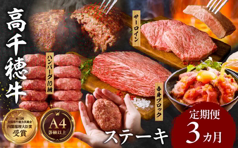 【3か月定期便】 高千穂牛ステーキ定期便 牛肉 肉 お肉 サーロイン ステーキ 赤身 赤身ブロック 定期便 定期 国産牛 ブランド牛 和牛 ローストビーフ ハンバーグ 国産 贈答 贈り物 簡単調理 おかず 普段使い 宮崎県 高千穂 _Tk002-t083