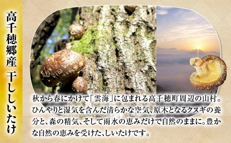 乾燥しいたけ 40g×6袋 240g 椎茸 小分け パック 小袋 個包装 個別包装 出汁取り 使い切り 使い勝手 普段使い お吸い物 きのこ キノコ類 干ししいたけ 乾しいたけ 原木栽培 乾燥しいたけ 常温 グルメ お取り寄せ おすすめ 宮崎県 高千穂町 _Tk004-039