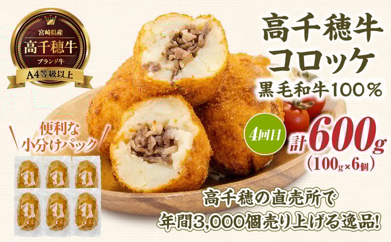 【6か月定期便】レンジでプロ味！定期便 黒毛和牛 コロッケ からあげ ジューシー 鶏もも肉 スパイス ハンバーグ 温野菜 プレート 高千穂牛 旨み チキン南蛮 レンジ 定期便 冷凍 冷凍食品 簡単調理 時短調理 一人暮らし 献立 弁当 _Tk005-t042