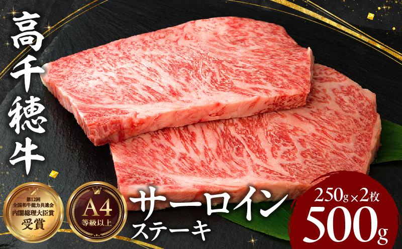 宮崎県産黒毛和牛A4等級以上 高千穂牛サーロインステーキ 250g×2枚 計500g 牛肉 肉 お肉 サーロイン ステーキ ステーキ肉 ブランド牛 和牛 国産牛 国産黒毛和牛 贈り物 贈答 ギフト プレゼント お祝い 内祝い グルメ 記念日 _Tk002-063