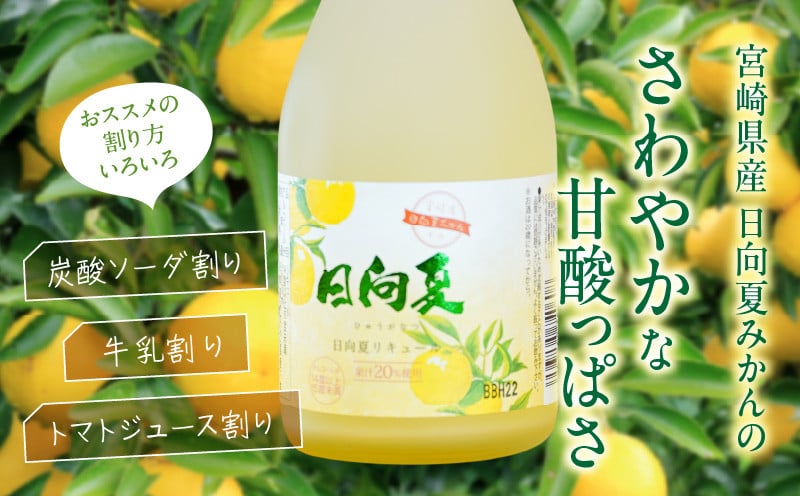 宮崎県産日向夏みかん使用 日向夏リキュール　300ml×6本セット 日向夏みかん フルーツ酒 宮崎県産日向夏みかん お酒 酒 アルコール 飲み会 宅飲み リキュール 贈答 贈り物 ギフト プレゼント 国産 _Tk023-019-h