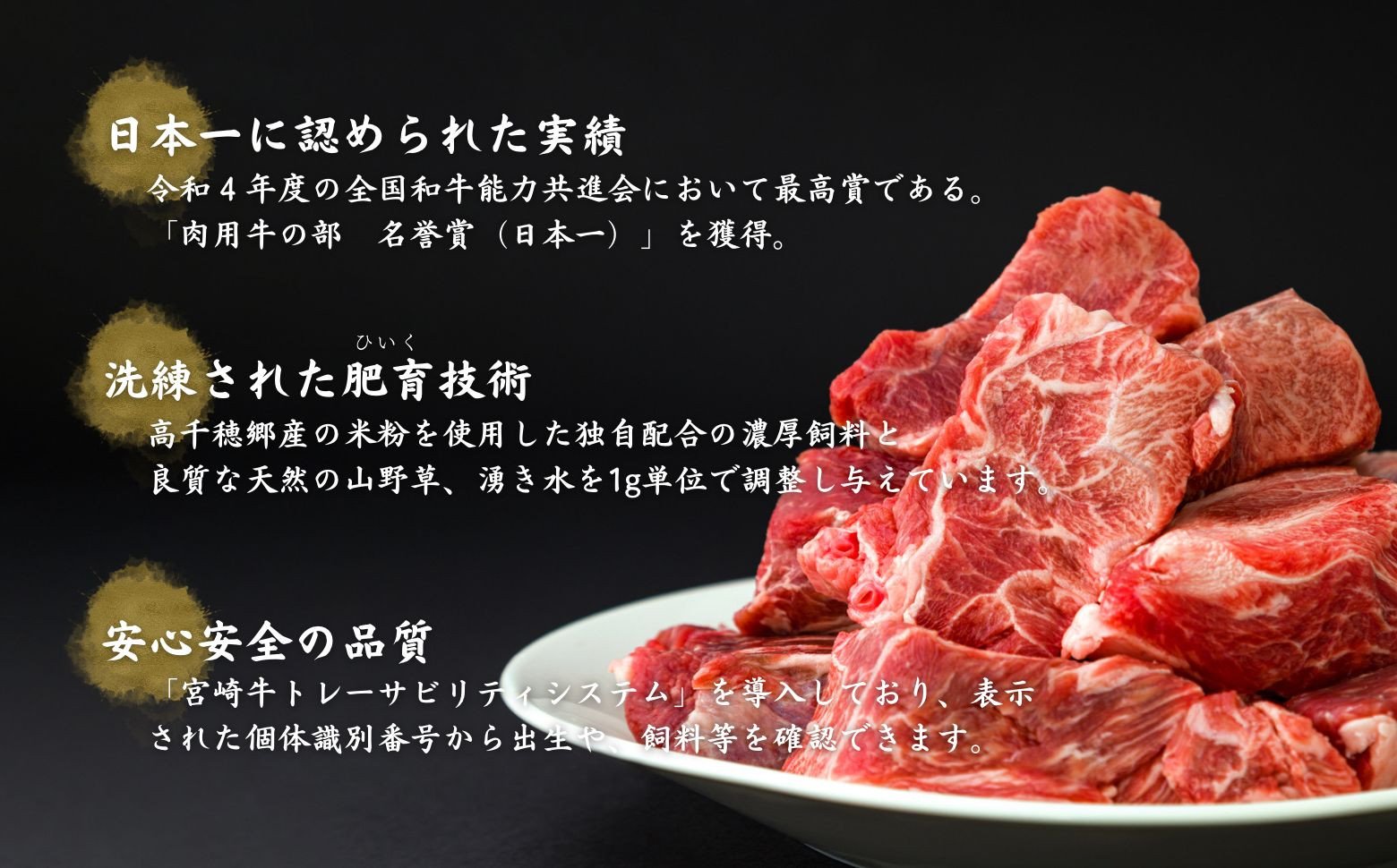 【3ヶ月定期便】 高千穂牛 すね肉 400g×2パック×3回 和牛 牛肉 肉 お肉 精肉 定期便 定期 国産牛 ブランド牛 黒毛和牛 すね 牛すね肉 A4等級以上 宮崎県産 国産 贈答 贈り物 煮込み料理 シチュー カレー 普段使い 簡単調理_Tk002-t076