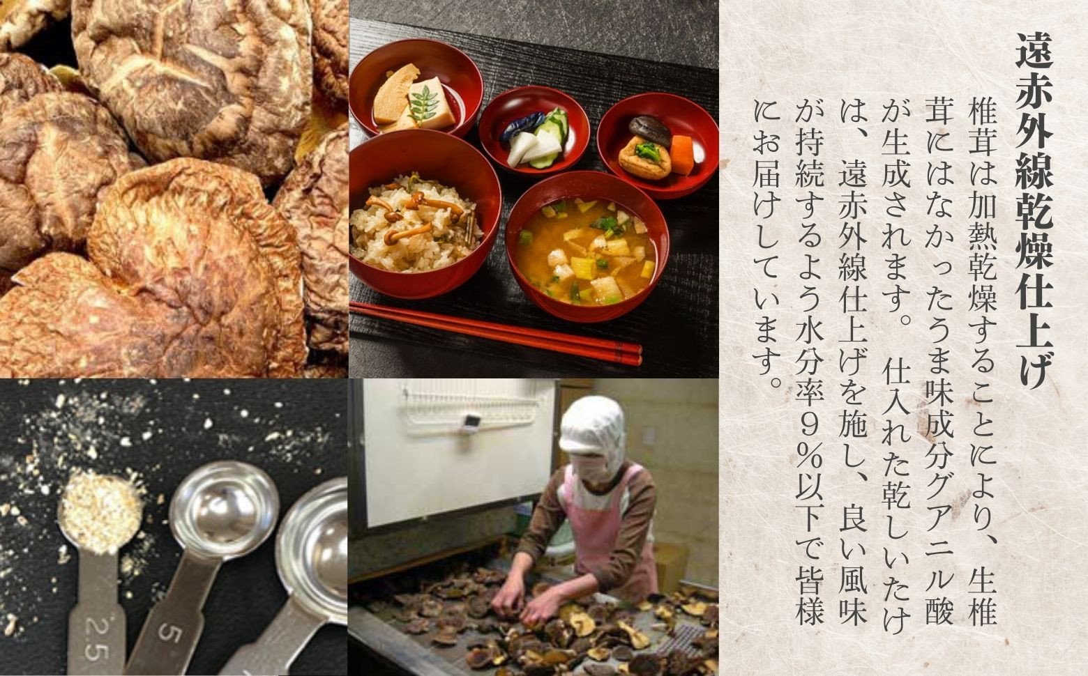 うま味を深める万能調味料！本格椎茸粉 40g×4袋 椎茸 粉 調味料 粉末 パウダー 椎茸パウダー 万能 万能調味料 だし 万能だし 旨み 料理 普段使い 使い勝手 贈り物 贈答 ギフト グルメ おすすめ 人気 うま粉 宮崎県 高千穂町 _Tk005-053