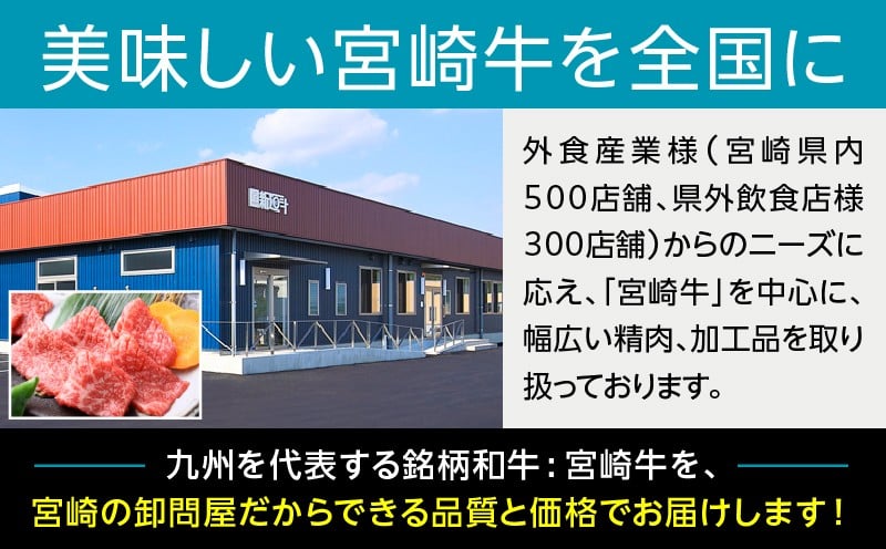 宮崎牛 こま肉・ミンチセット1kg 牛肉 肉 お肉 精肉 ミンチ 挽肉 精肉セット セット 詰め合わせ 国産牛 黒毛和牛 和牛 ブランド牛 贈答 贈り物 ギフト グルメ お取り寄せ 炒め物 料理 アレンジ 牛丼 野菜炒め メンチカツ コロッケ 普段使い BBQ 宮崎県 高千穂町 _Tk024-019