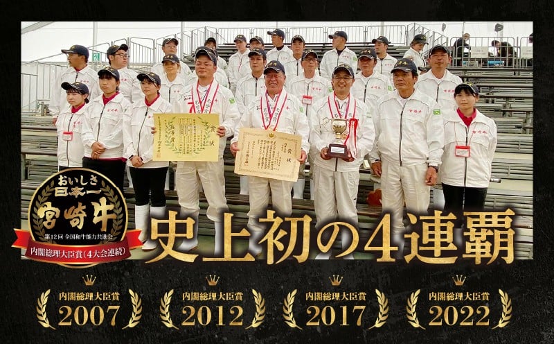 宮崎県産黒毛和牛A4等級以上 高千穂牛すね肉　800g 牛肉 肉 お肉 牛すね肉 国産牛 ブランド牛 和牛 牛肉 国産 パック 冷凍 料理 煮込み料理 ビーフシチュー おでん おかず  _Tk002-074