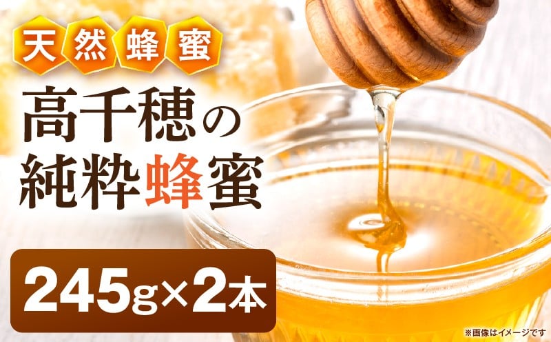 日本みつばち 高千穂の純粋蜂蜜 245g×2本|蜂蜜 はちみつ 日本みつばち 純粋蜂蜜 国産蜂蜜 天然蜂蜜 垂れ蜜 蜜蜂 希少 蜂蜜 濃厚 花 伝統製法 特産品 ふるさと納税 返礼品 宮崎県 高千穂町 | _Tk005-099-2452