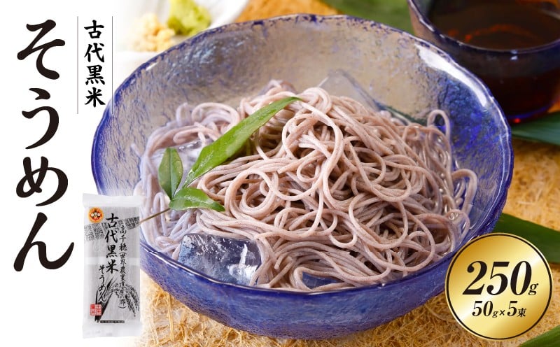 古代黒米そうめん 麺類 そうめん 素麺 麺 特産品 古代米 黒米 黒米そうめん お取り寄せ ご当地 グルメ 宮崎県 高千穂町_Tk005-108