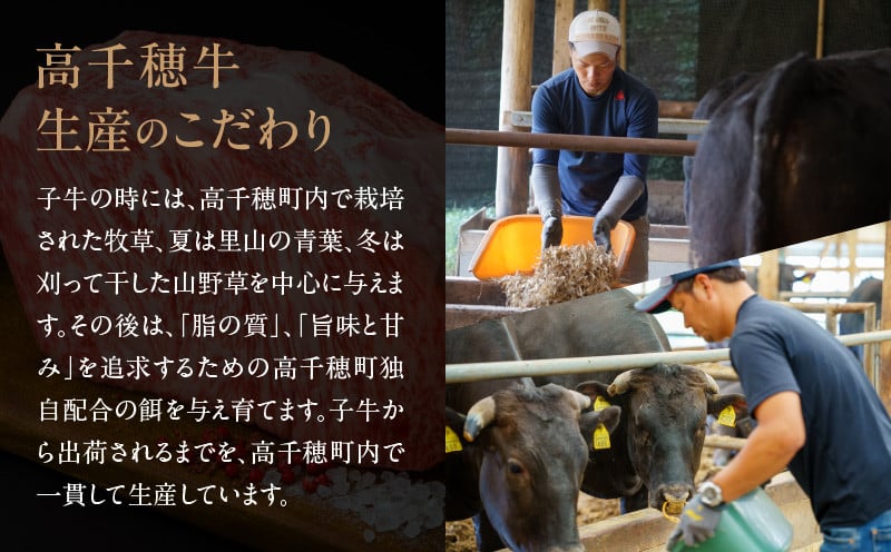【3か月定期便】高千穂牛ヘルシー定期便 高千穂牛 牛肉 肉 お肉 定期便 定期 国産牛 ブランド牛 黒毛和牛 和牛 ウデ ウデスライス 上モモ モモ 赤身 赤身ブロック すき焼き しゃぶしゃぶ 国産 贈答 贈り物 おかず 普段使い 宮崎県 高千穂 _Tk002-t085