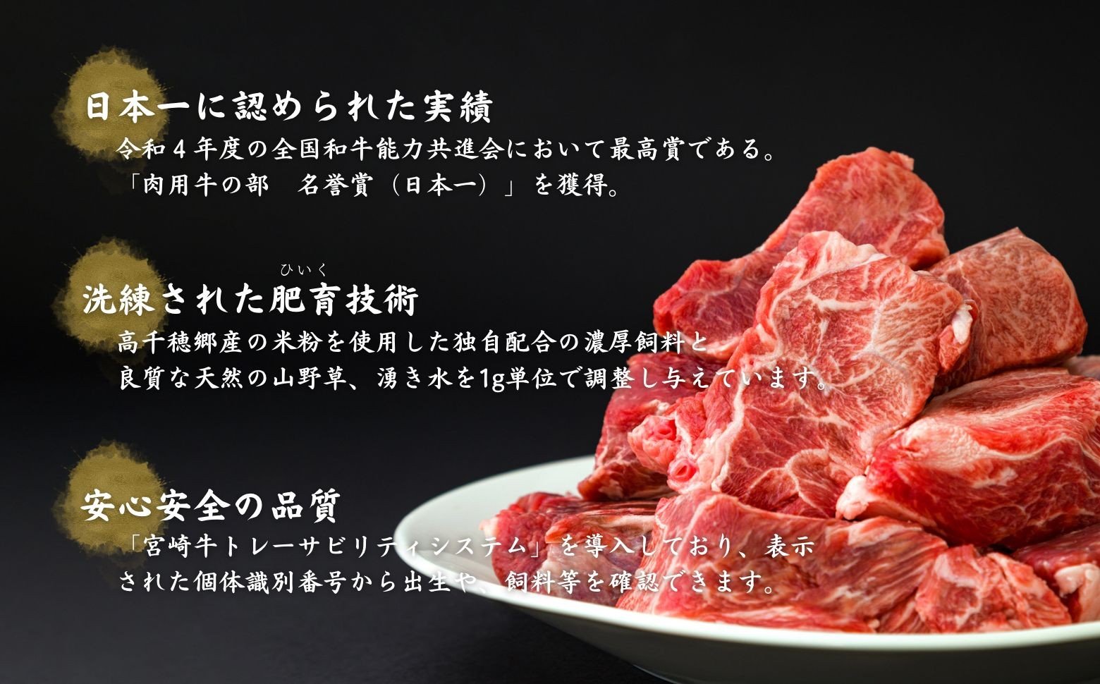 宮崎県産黒毛和牛A4等級以上 高千穂牛すね肉　800g 牛肉 肉 お肉 牛すね肉 国産牛 ブランド牛 和牛 牛肉 国産 パック 冷凍 料理 煮込み料理 ビーフシチュー おでん おかず  _Tk002-074