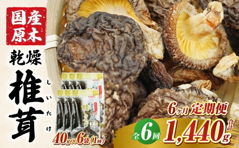 【6ヶ月定期便】乾燥しいたけ 240g（40g×6袋）×6回 1,440g しいたけ 定期便 定期 定期的 国産 宮崎県産 原木 栽培 乾燥 干し椎茸 原木椎茸 国産しいたけ 小分け 袋 小袋 普段使い 使い勝手 使い切り 肉厚 旨み 香り グルメ お取り寄せ 宮崎県 高千穂町 _Tk004-t041