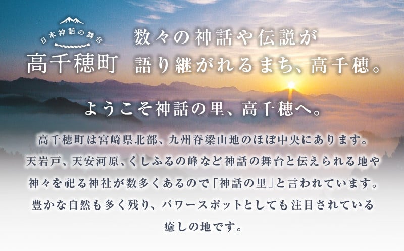 神話の里 高千穂町への応援寄附金【5,000円】（返礼品なし） 宮崎県 高千穂町 神話の里 応援寄附金 活性化 宮崎県 高千穂町 _Tk001-013