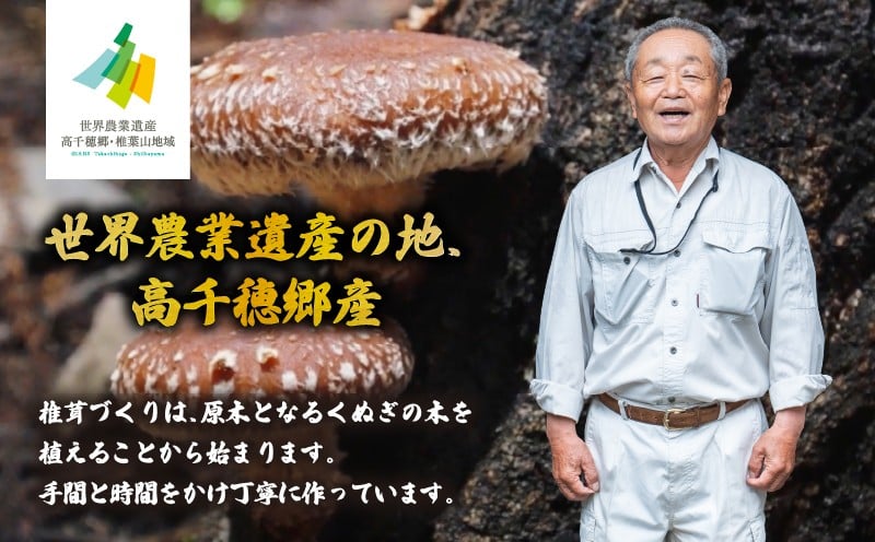 乾燥しいたけ 40g×6袋 240g 椎茸 小分け パック 小袋 個包装 個別包装 出汁取り 使い切り 使い勝手 普段使い お吸い物 きのこ キノコ類 干ししいたけ 乾しいたけ 原木栽培 乾燥しいたけ 常温 グルメ お取り寄せ おすすめ 宮崎県 高千穂町 _Tk004-039