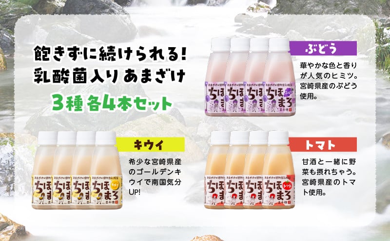 乳酸菌入りあまざけ ちほまろ 150g　12本セット【キウイ トマト ぶどう】 ノンアルコール 贈答 贈り物 おすそ分け 日課 ドリンク 無添加 無加糖 飲み物 乳酸飲料 飲料 宮崎県 高千穂町 _Tk015-017-c12