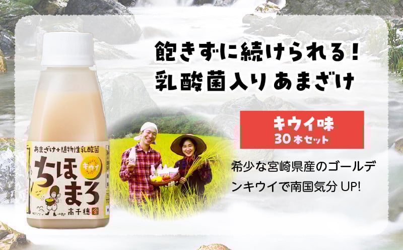 乳酸菌入りあまざけ ちほまろ 150g　30本セット【キウイのみ】 セット 飲み比べ 味比べ 詰め合わせ 無添加 砂糖不使用 日課 ノンアルコール 飲み物 ドリンク 飲料 お歳暮 贈り物 ギフト プレゼント 宮崎県 高千穂町 _Tk015-031-h30