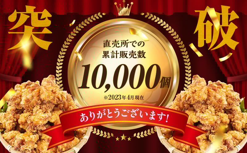 【6か月定期便】レンジでプロ味！からあげ6か月定期便 鶏肉 肉 鶏モモ肉 肉惣菜 惣菜 お惣菜 調理済み 冷凍 個包装 使い勝手 普段使い お弁当 おかず おつまみ 冷凍食品 冷凍からあげ 食品 小分け 便利 レンジ グルメ おすそ分け 簡単調理 宮崎 高千穂 _Tk005-t044
