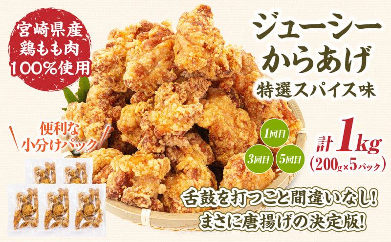 【6か月定期便】レンジでプロ味！定期便 黒毛和牛 コロッケ からあげ ジューシー 鶏もも肉 スパイス ハンバーグ 温野菜 プレート 高千穂牛 旨み チキン南蛮 レンジ 定期便 冷凍 冷凍食品 簡単調理 時短調理 一人暮らし 献立 弁当 _Tk005-t042