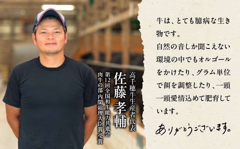 【6か月定期便】高千穂牛煮込み料理6か月定期便 高千穂牛 牛肉 肉 お肉 定期便 定期 国産牛 ブランド牛 和牛 すね肉 ロース 肩ロース 牛すじ バラ 牛バラ ハンバーグ スライス 煮込み カレー ビーフシチュー 国産 贈答 贈り物 普段使い 宮崎県 高千穂 _Tk002-t087