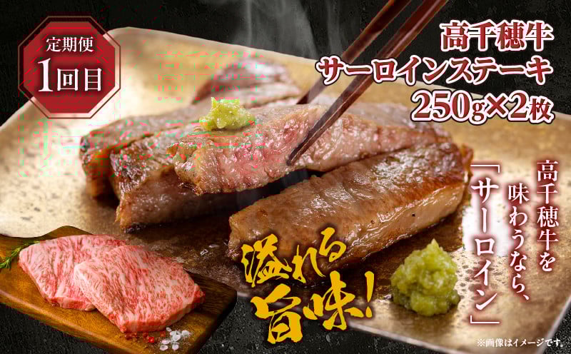 【3か月定期便】 高千穂牛ステーキ定期便 牛肉 肉 お肉 サーロイン ステーキ 赤身 赤身ブロック 定期便 定期 国産牛 ブランド牛 和牛 ローストビーフ ハンバーグ 国産 贈答 贈り物 簡単調理 おかず 普段使い 宮崎県 高千穂 _Tk002-t083