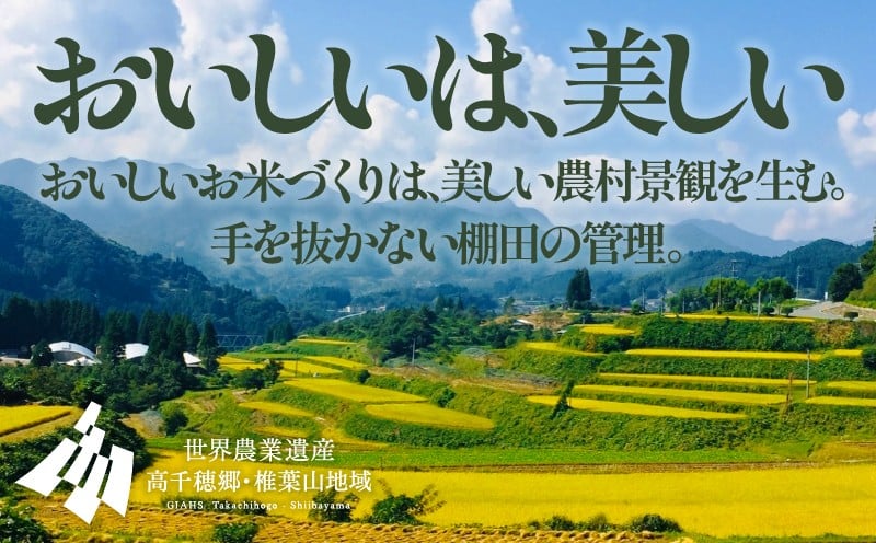 【3か月定期便】【令和7年産】13代目甲斐長衛門が選び抜いた高千穂産ひのひかり　長衛門米5kg×3回 長衛門米 ヒノヒカリ 3か月 お米 精米 白米 米 白ご飯 ごはん おにぎり おむすび 米袋 農作物 定期便 宮崎県産 高千穂町産 普段使い _Tk019-t019