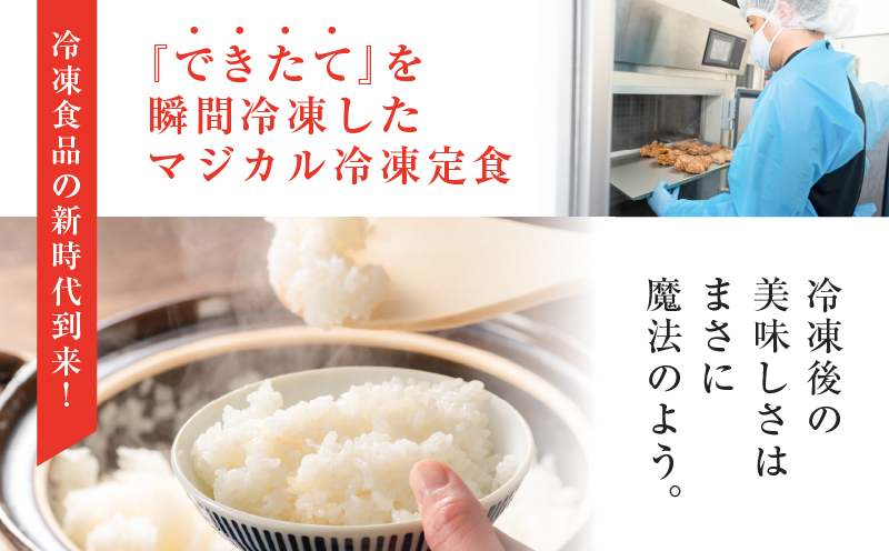 【全12回定期便】マジカル冷凍チキン 南蛮定食　K258-T01_c