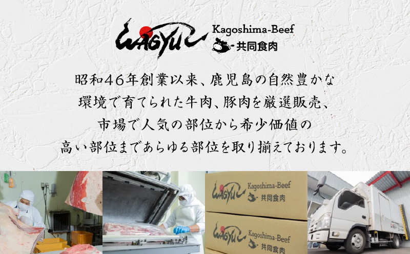 カットホルモン　K137-002