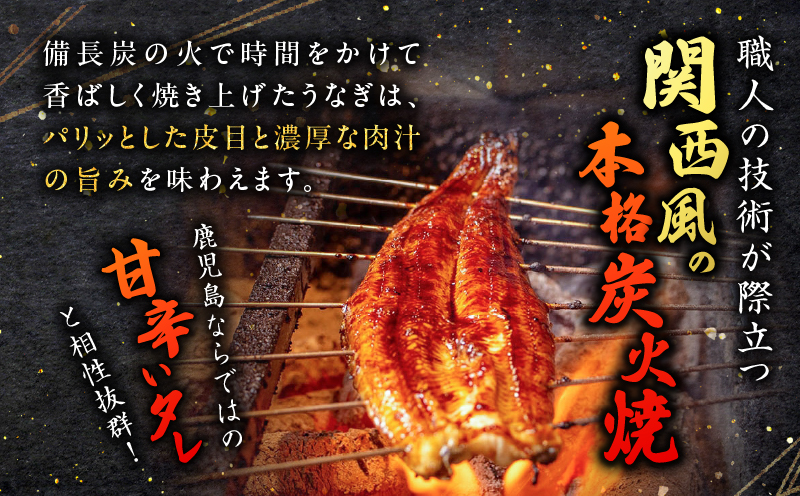 職人が丁寧に仕上げる本格炭火焼 鹿児島県産うなぎの蒲焼き 5尾　K282-001_02