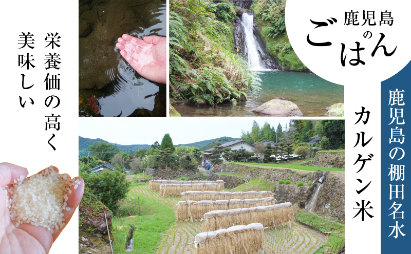 【全6回定期便】マジカル冷凍チキン 南蛮定食　K258-T01_b