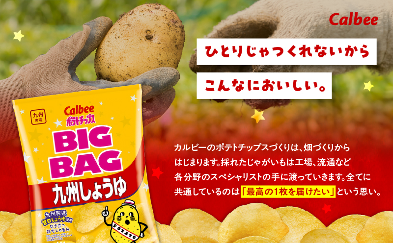 ã«ã«ã㌠ããããããã¹ BIGBAGãä¹å·ããããã 12è¢ãK194-002_02ãã»ã€ã«é£åæ ªåŒäŒç€ŸïŒèåïŒã