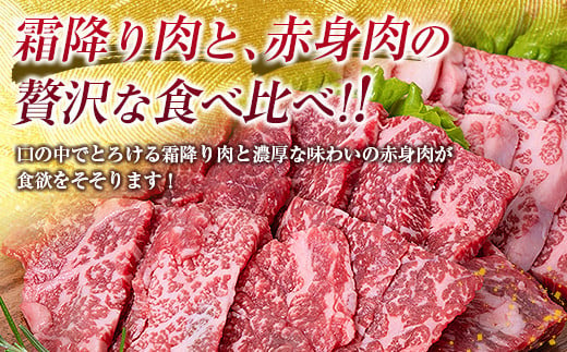 A5等級鹿児島県産黒毛和牛焼肉セット　K208-018