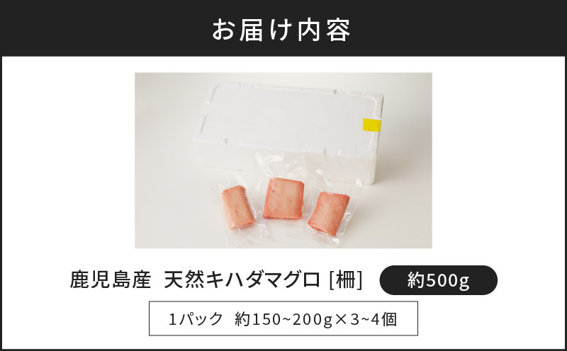 鹿児島産 天然 キハダマグロ 柵 約500g　K100-005