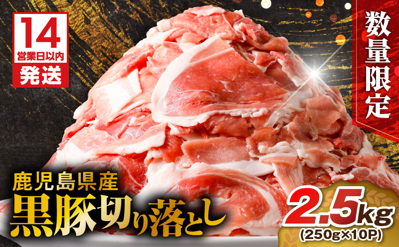 【14営業日以内に発送】 【数量限定】鹿児島県産 黒豚切り落とし 2.5kg　K025-001_05