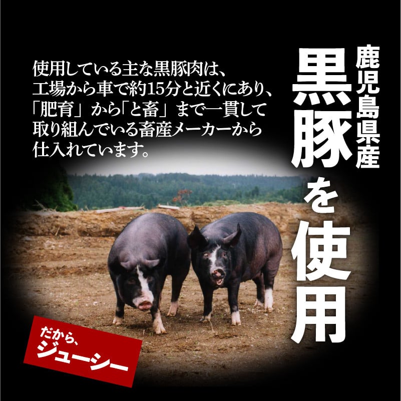 鹿児島黒豚100％餃子　48個入り　K027-008