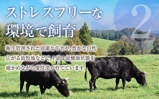 鹿児島県産黒毛和牛ロースステーキ360g　K208-016
