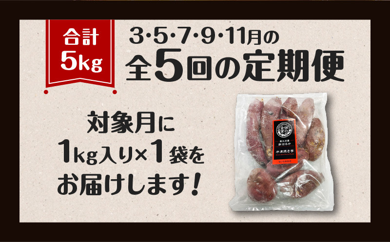 【全5回】【畑の金貨】焼き芋紅はるか1kg 定期便　K181-T01