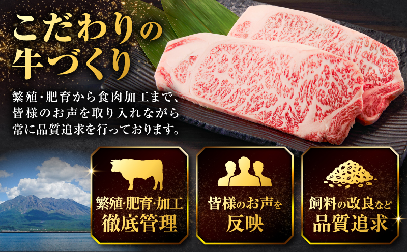 北さつま牛サーロインステーキ　K137-004