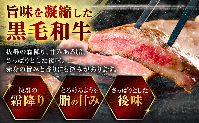 北さつま牛サーロインステーキ　K137-004