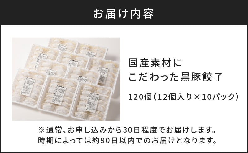 国産素材にこだわった黒豚餃子120個　K111-015