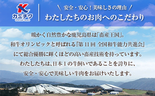 鹿児島県産黒毛和牛切落し900g　K208-019