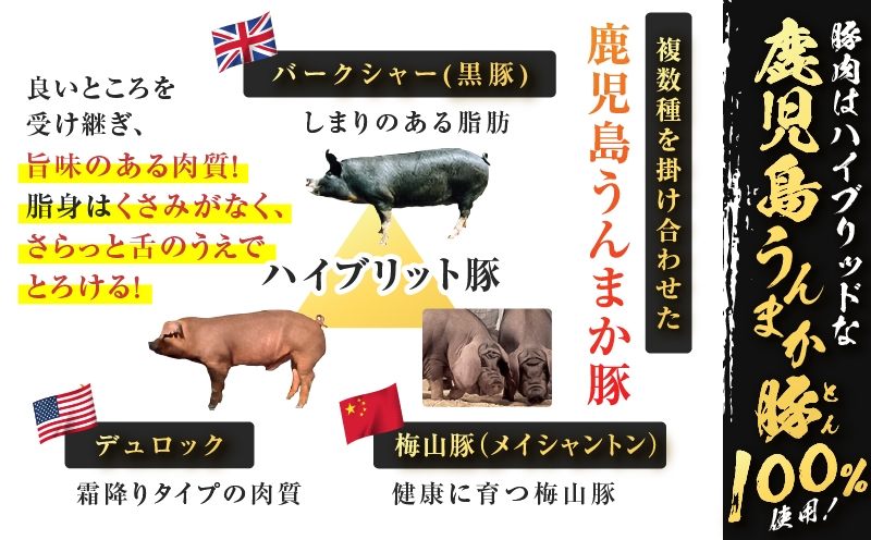 鮖ソ蜈仙ウカ縺繧薙∪縺玖ア夂函鬢蟄9繝代ャ繧ッシ磯、蟄108蛟句・繧翫サ繧ソ繝ャ莉假シ峨K005-003_02