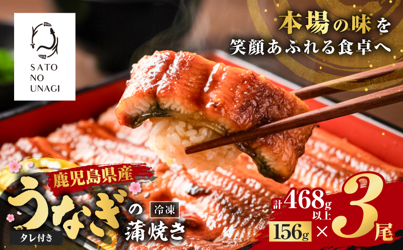 鮖ソ蜈仙ウカ逵檎肇縺縺ェ縺手調辟シ 156gテ3蟆セ 468g莉・荳翫K379-002_01縲先ェ蠑丈シ夂、セ繧オ繝医え縲