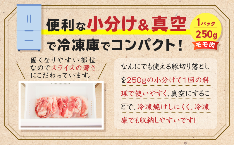 鹿児島県産 豚切り落とし 250g×8パック 計2kg　K151-003