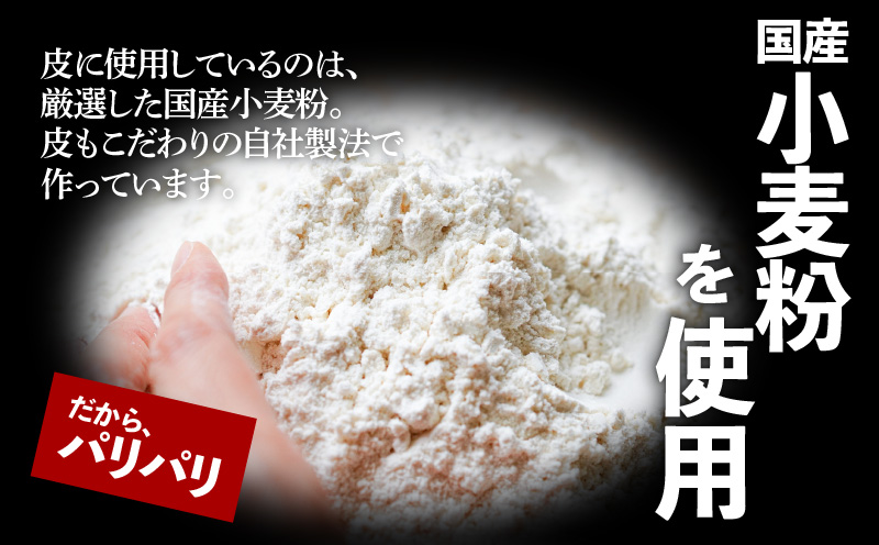 縲千ャャ1蝗 譌・譛ャ蜈ィ蝗スシ√#蠖灘慍蜀キ蜃埼」溷刀螟ァ雉 2024-2025 蜆ェ遘雉槫女雉橸シ√鷹ケソ蜈仙ウカ鮟定ア100%鬢蟄 48蛟句・繧翫K027-008