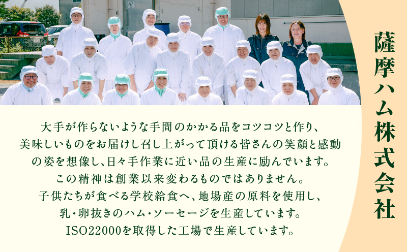 お試し用に！ベーコン風モモハム切り落とし600g　K161-025_01