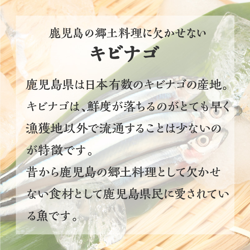 まるごとキビナゴ便り〜オリーブ仕立て三彩〜 6個セット　K032-003
