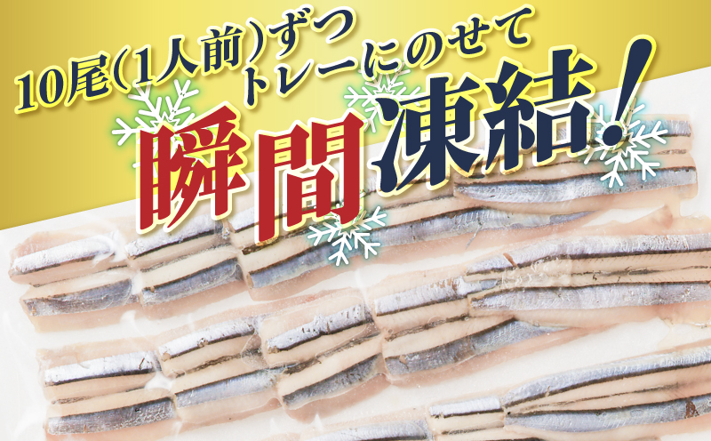 鹿児島産 キビナゴ刺身 40尾 4人前　K100-010