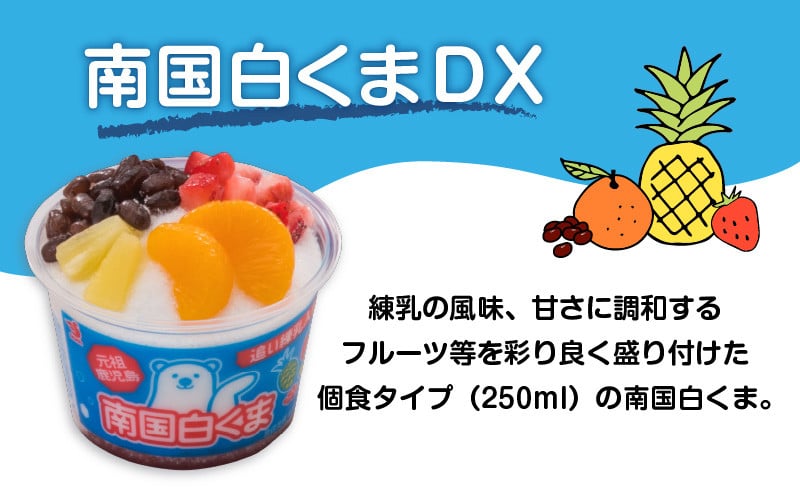 セイカ食品　南国白くまDX詰め合わせセット　K051-002